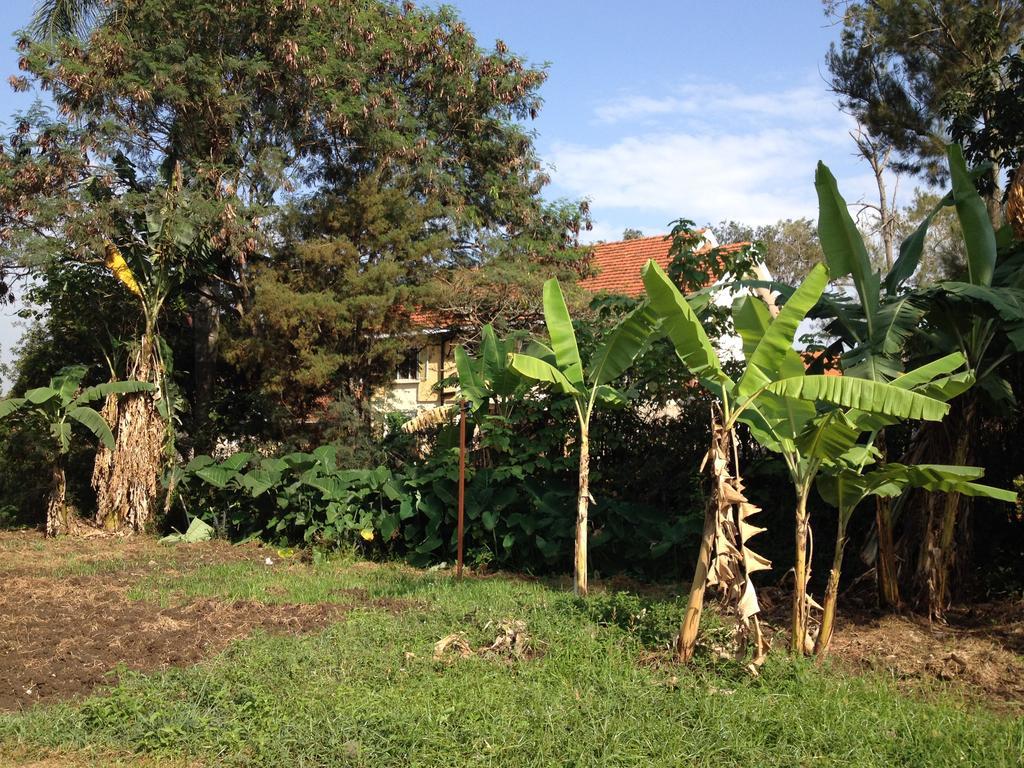 Bikeventures House Uganda Hotel Jinja Bagian luar foto
